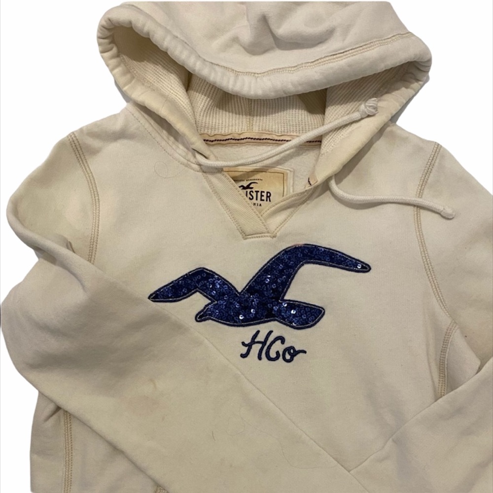 ♻️ Free with purchase. Hollister Hoodie